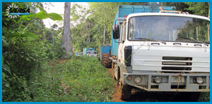 Equipo de Transporte
